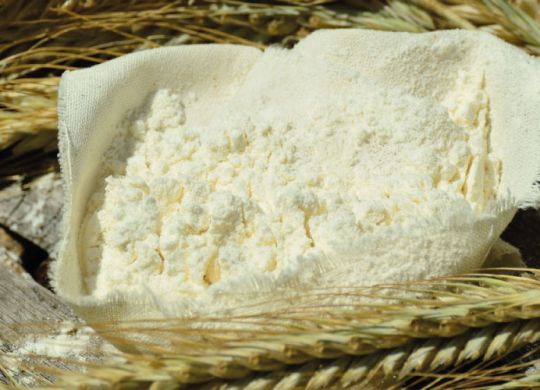 mostaccioli romani Caligola cucina romana palermo